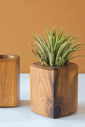 art-and-soil-bangalore-W4ZUFRJIWHw-unsplash 1