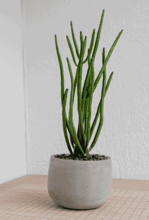 henry-co-FObU8l6PyLA-unsplash 1